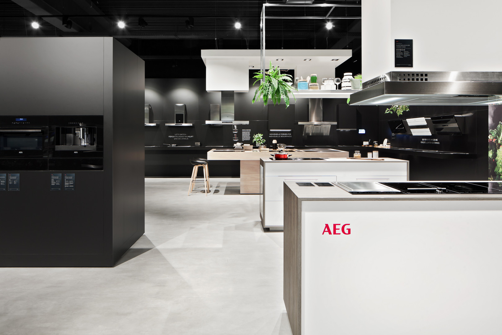 Herring With Liquorice Showcases D Art Design Gruppe